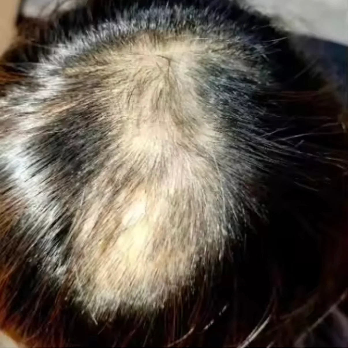 HairsKing™ – Crema Capilar Densidad Instantánea